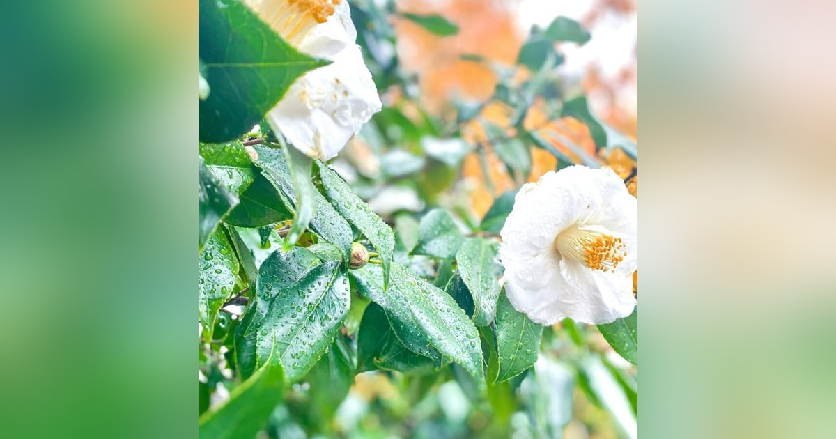 Reinventarse (Dr. Mario Alonso Puig) Reinventarse (Dr. Mario Alonso Puig)