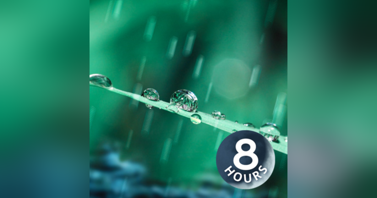Spring Rain Sounds for Sleep, Studying or Focus 8 Hours | Nature White Noise Spring Rain Sounds for Sleep, Studying or Focus 8 Hours | Nature White Noise