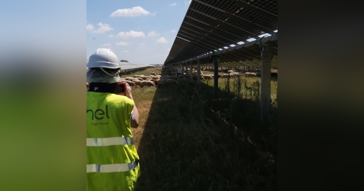 Prensa económica: Australia avanza hacia el embargo de bienes de España por las renovables Prensa económica: Australia avanza hacia el embargo de bienes de España por las renovables