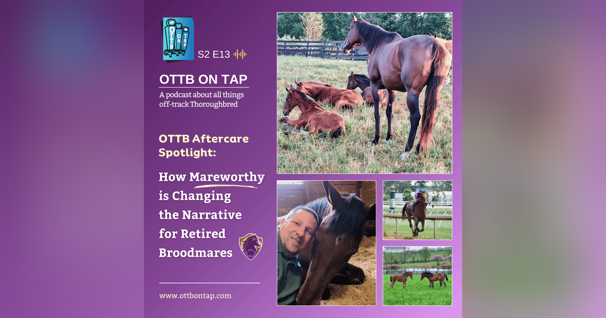 S2 E13: OTTB Aftercare Spotlight: How Mareworthy is Changing the Narrative for Retired Broodmares S2 E13: OTTB Aftercare Spotlight: How Mareworthy is Changing the Narrative for Retired Broodmares