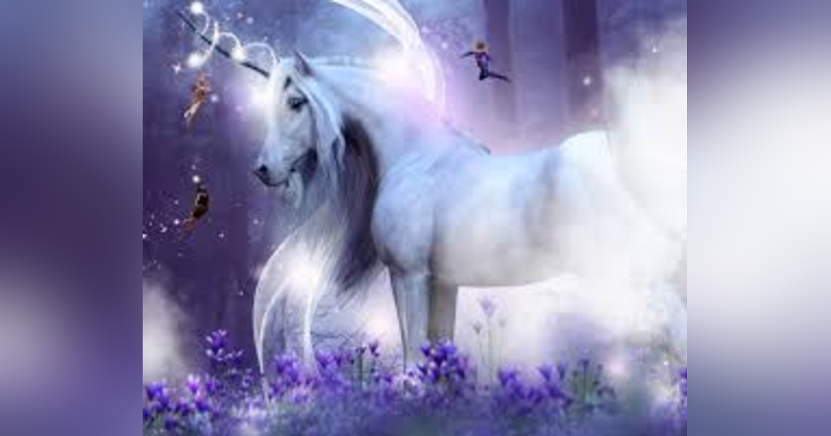 Best of PTR- Kim Miller medium Best of PTR- Kim Miller medium