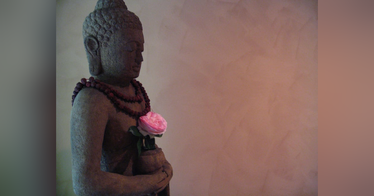 The Ceremonies of Life and the Disappointed Friend The Ceremonies of Life and the Disappointed Friend