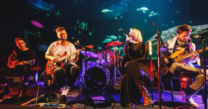 image for IN REVIEW: METRO VILLA - ‘LIVE AT THE TWO OCEANS AQUARIUM’