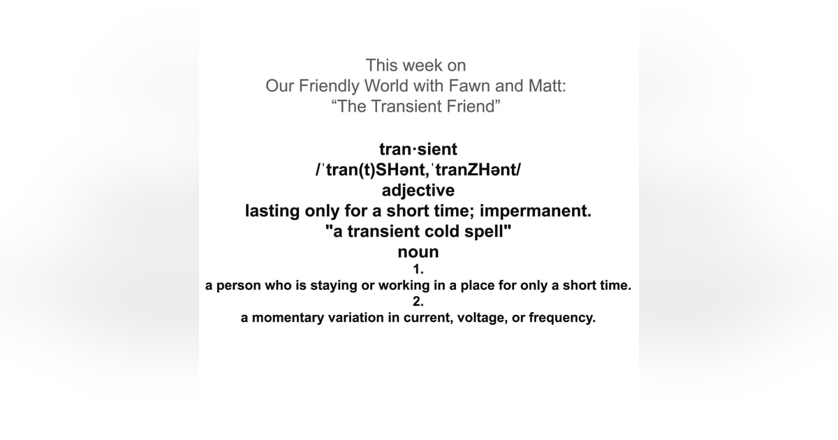 The Transient Friend The Transient Friend