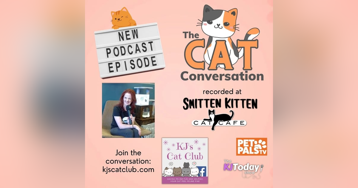 Safe Cat, Happy Cat: The Cat Conversation at Smitten Kitten Cat Cafe Safe Cat, Happy Cat: The Cat Conversation at Smitten Kitten Cat Cafe