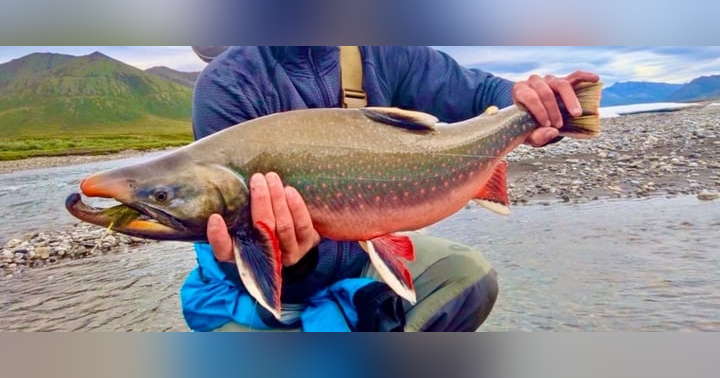 image for How to Plan a DIY Alaska Fly Fishing Trip: Finding Remote Rivers with Oliver Ancans