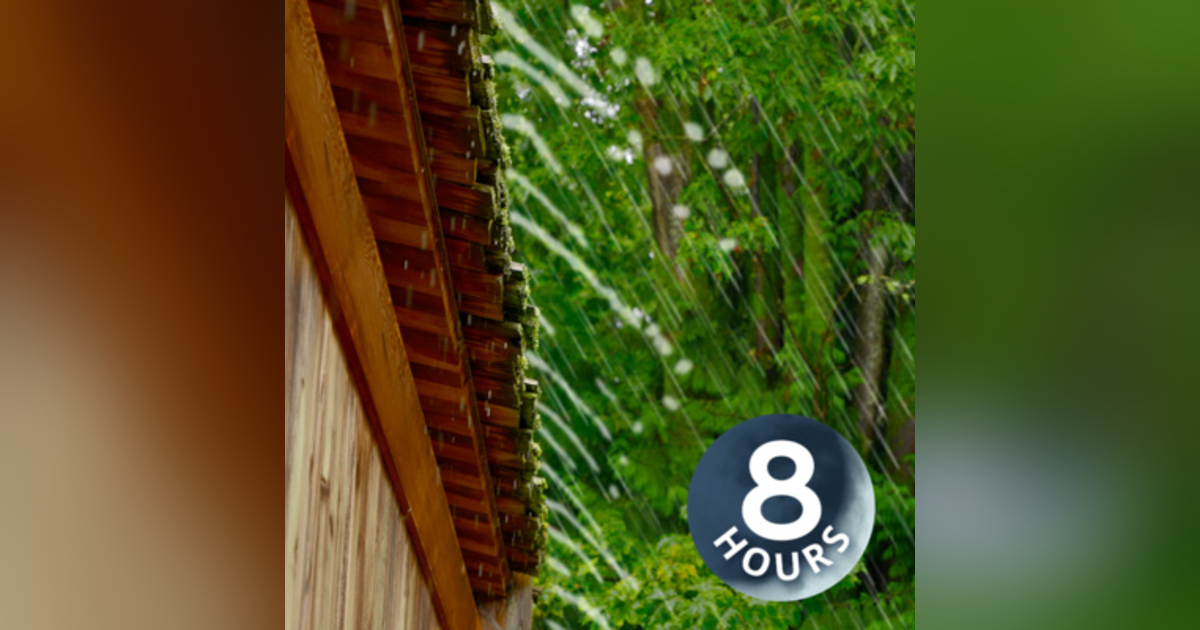 Sound of Rain for Sleep & Relaxation I Rainstorm White Noise 8 Hours Sound of Rain for Sleep & Relaxation I Rainstorm White Noise 8 Hours