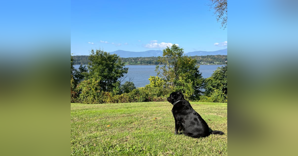 111. Reveries (Season 8 Premiere) 111. Reveries (Season 8 Premiere)