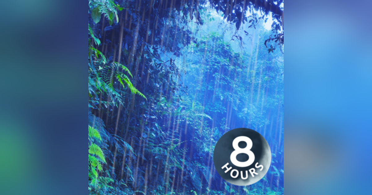 Enchanted Rainforest | 8 Hours Rain White Noise and Nature Sounds Enchanted Rainforest | 8 Hours Rain White Noise and Nature Sounds