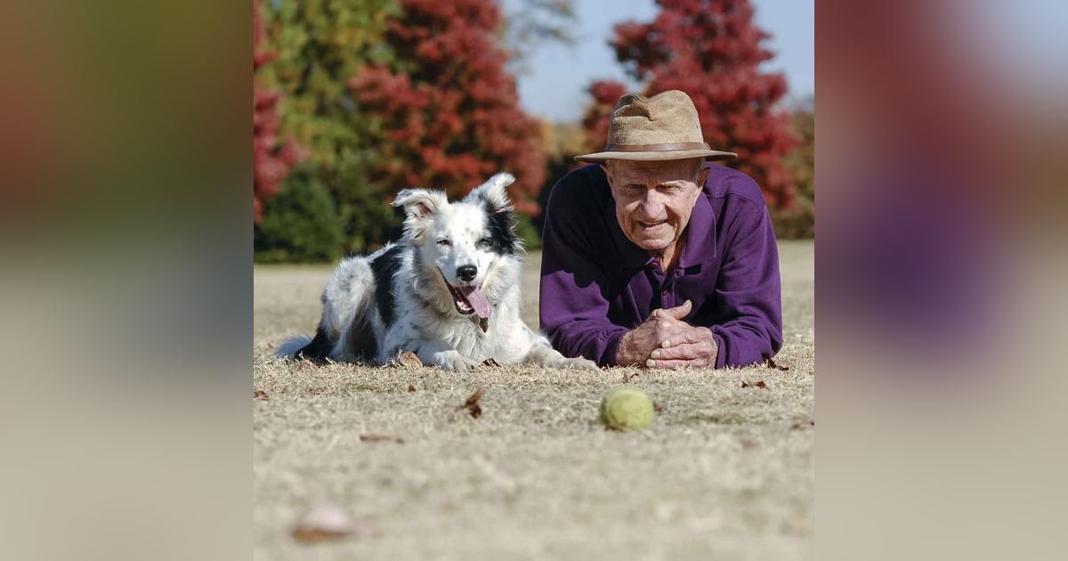 1301. This Border Collie Knows 1000 Words - What Does 1301. This Border Collie Knows 1000 Words - What Does