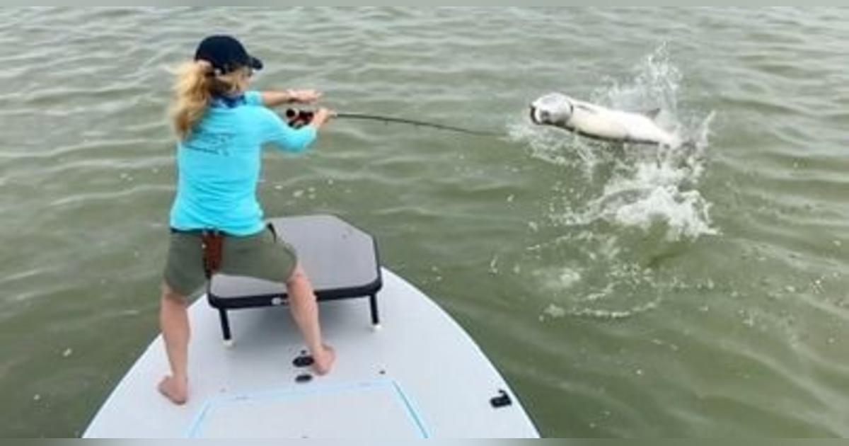 EP. 239 Extreme Fishing Adventures With World Traveller and Record Breaker Kesley Gallagher EP. 239 Extreme Fishing Adventures With World Traveller and Record Breaker Kesley Gallagher