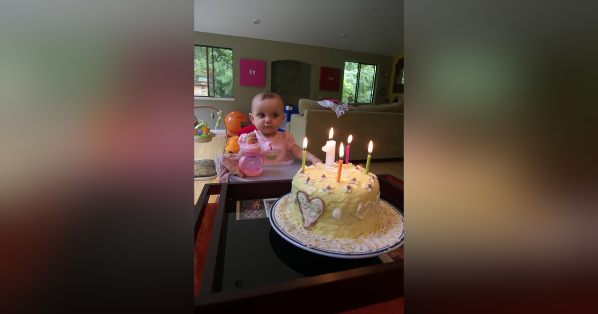 1 Year Celebration 1 Year Celebration