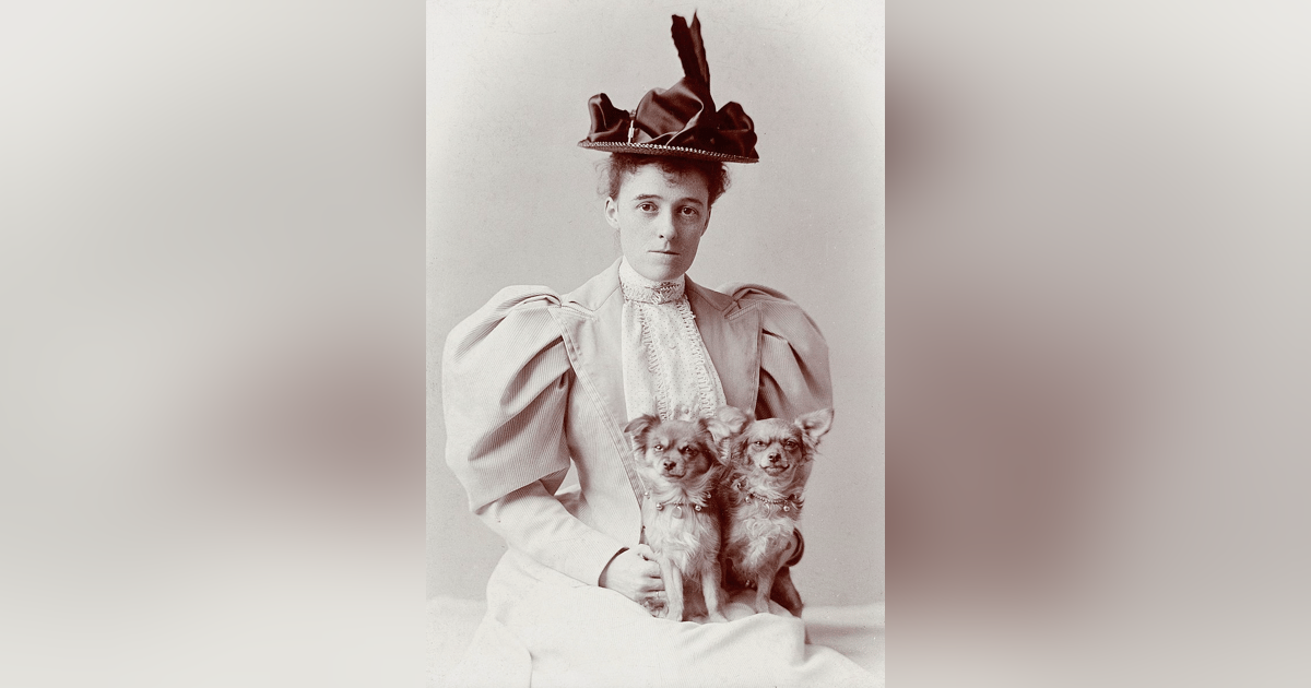 477 Does Edith Wharton Hate You? (Part 2 - "The Vice of Reading") 477 Does Edith Wharton Hate You? (Part 2 - "The Vice of Reading")