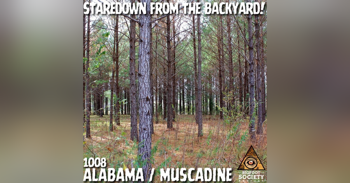 Staredown from the Backyard! | Alabama Staredown from the Backyard! | Alabama