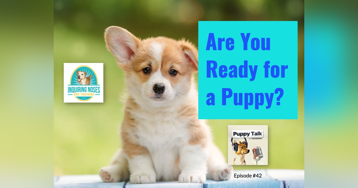Are You Ready for a Puppy? Are You Ready for a Puppy?