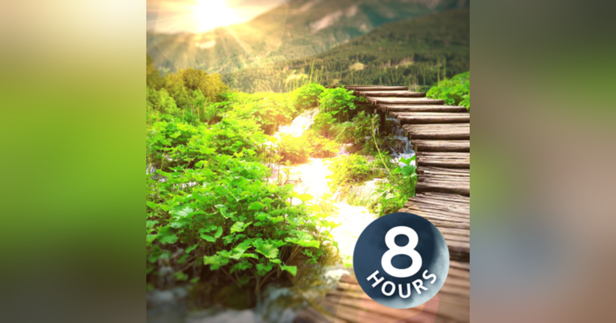 Relaxing Creek by a Nature Trail 8 Hours | Water Sounds White Noise for Stress Relief Relaxing Creek by a Nature Trail 8 Hours | Water Sounds White Noise for Stress Relief