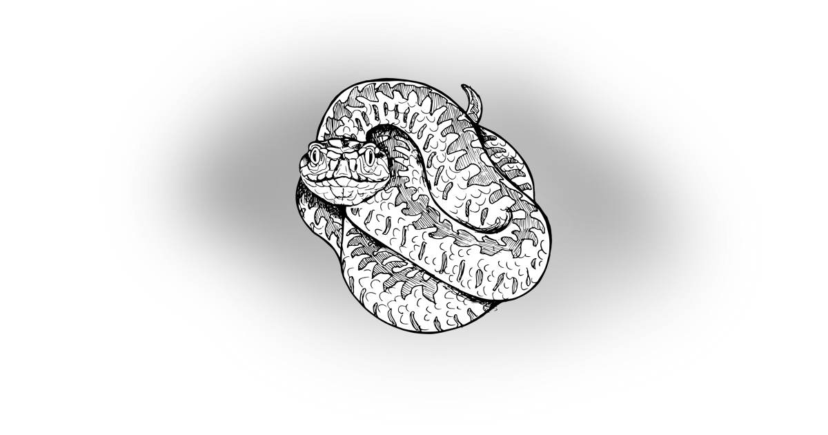 The Adder The Adder