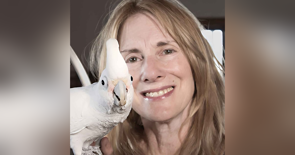 Are You Too Attached To Your Pets? - Parrots Helping Veterans with P.T.S.D. Are You Too Attached To Your Pets? - Parrots Helping Veterans with P.T.S.D.