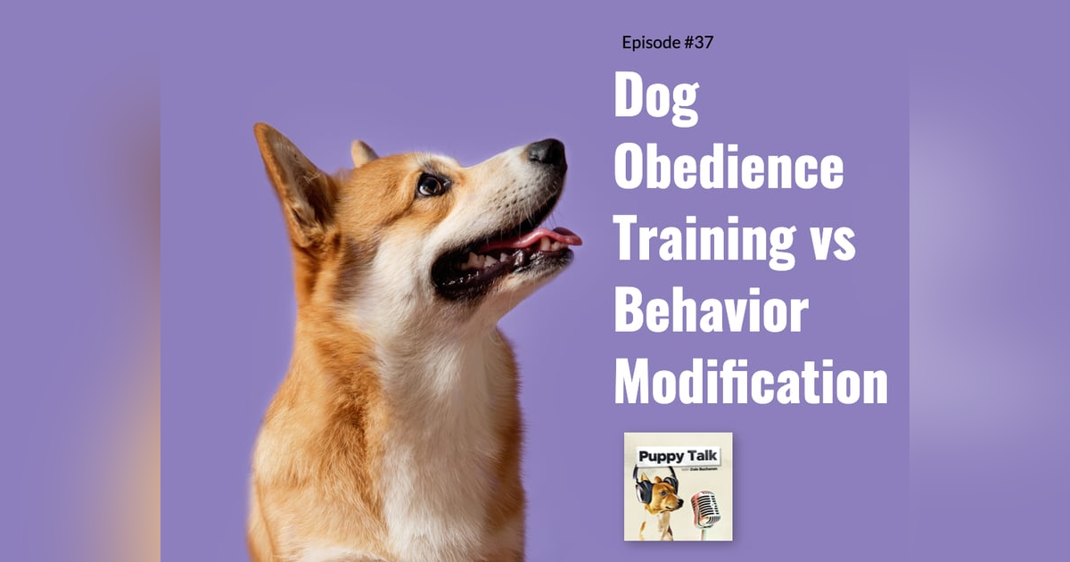 Dog Obedience Training vs Behavior Modification Dog Obedience Training vs Behavior Modification