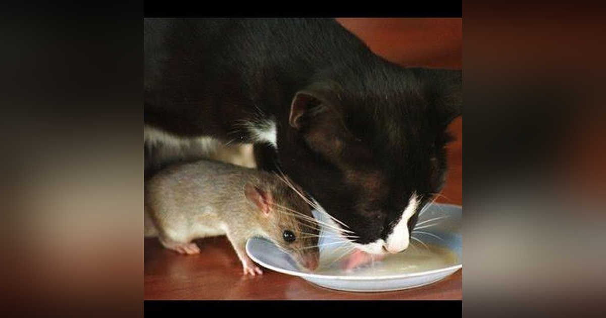 08: Party In China Episode 8 08: Party In China Episode 8