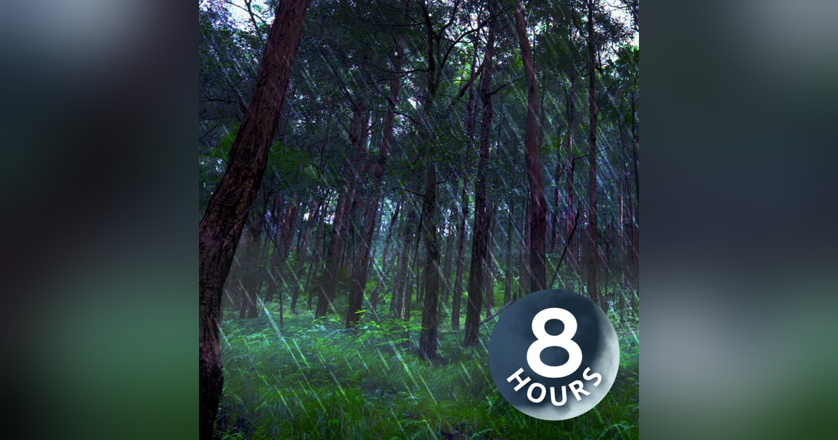 Rain Falling Sounds in Australian Forest 8 Hours I White Noise for Sleep or Focus Rain Falling Sounds in Australian Forest 8 Hours I White Noise for Sleep or Focus