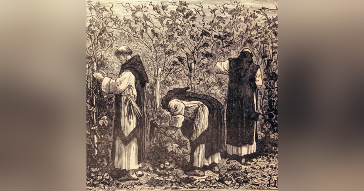 A Taste of Terroir with Michael Craig A Taste of Terroir with Michael Craig