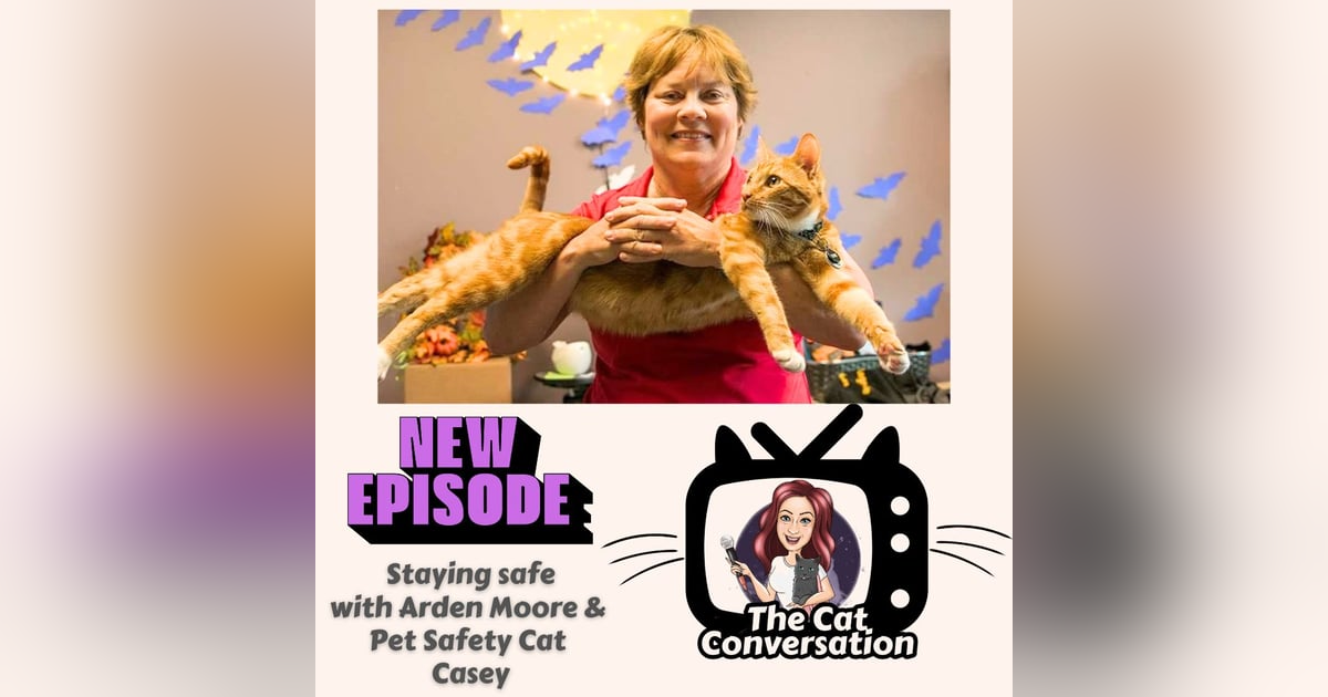 Safe & Sound: Cat Safety with Pet Safety Cat Casey & Arden Moore Safe & Sound: Cat Safety with Pet Safety Cat Casey & Arden Moore