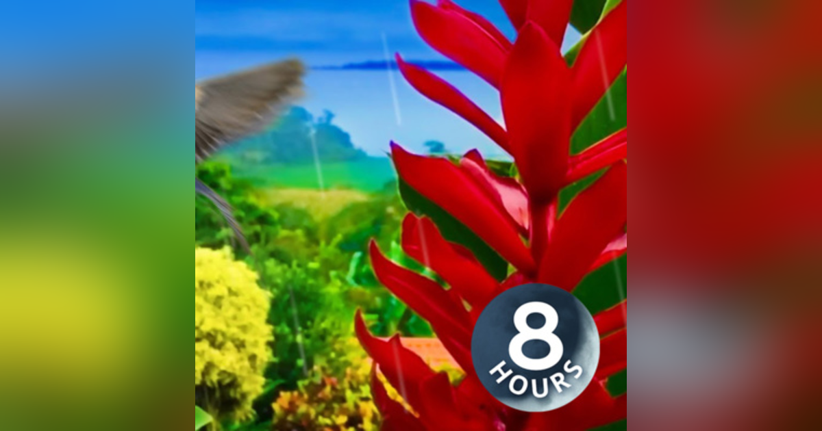 Rain in Jungle 8 Hours | Sleep, Study or Relax with Rainstorm & Birds White Noise Rain in Jungle 8 Hours | Sleep, Study or Relax with Rainstorm & Birds White Noise