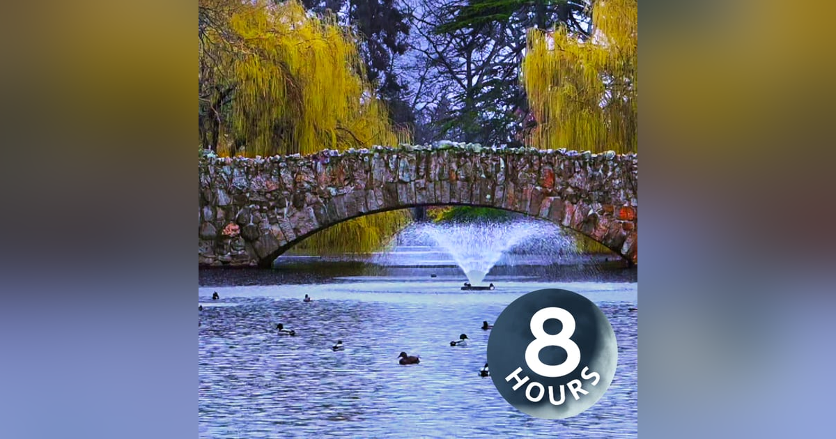 Rain on Pond Ambience | Sleep, Study or Relax to Rainstorm & Water Sounds 8 Hours Rain on Pond Ambience | Sleep, Study or Relax to Rainstorm & Water Sounds 8 Hours