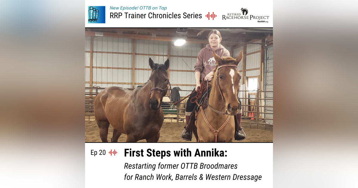 Ep 20 - First Steps with Annika: Restarting former OTTB Broodmares for Ranch Work, Barrels & Western Dressage Ep 20 - First Steps with Annika: Restarting former OTTB Broodmares for Ranch Work, Barrels & Western Dressage