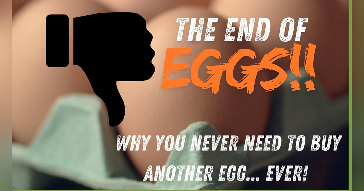 UnchainedTV: The End of Eggs! The Solution to Skyrocketing Egg Prices! UnchainedTV: The End of Eggs! The Solution to Skyrocketing Egg Prices!