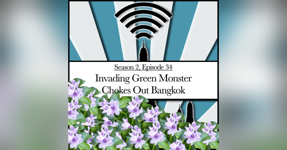 Invading Green Monster Chokes Out Bangkok (2.34) Invading Green Monster Chokes Out Bangkok (2.34)