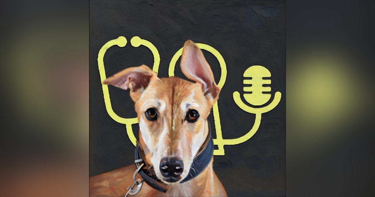 🔓 Anesthesia-Associated Hyperkalemia. (Or, That Thing That Greyhounds Do When You Anesthetise Them) With Dr Stacey Jones 🔓 Anesthesia-Associated Hyperkalemia. (Or, That Thing That Greyhounds Do When You Anesthetise Them) With Dr Stacey Jones