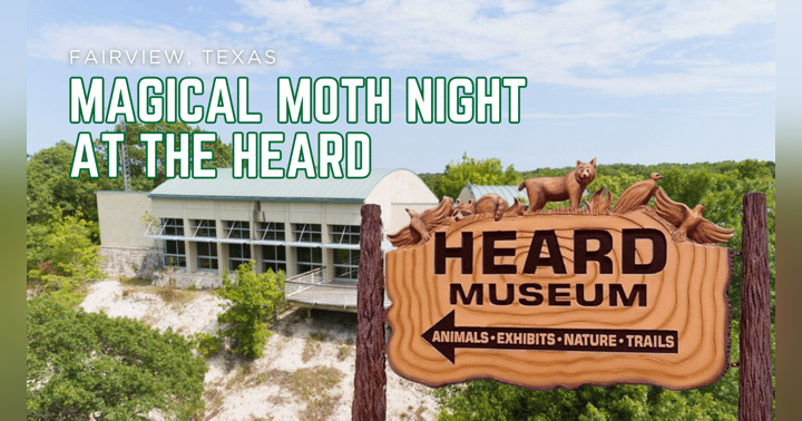 image for Step Into the Wild After Dark: Join Us for Magical Moth Night at the Heard on July 26