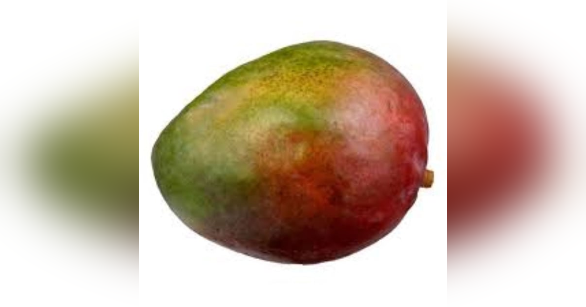 July 22-Mango, Jeopardy, Danny Glover, The Eagles, Willem Dafoe, David Spade, Selena Gomez July 22-Mango, Jeopardy, Danny Glover, The Eagles, Willem Dafoe, David Spade, Selena Gomez