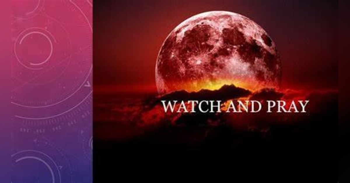 What are the Signs of the End Times, According to Jesus? #17 What are the Signs of the End Times, According to Jesus? #17
