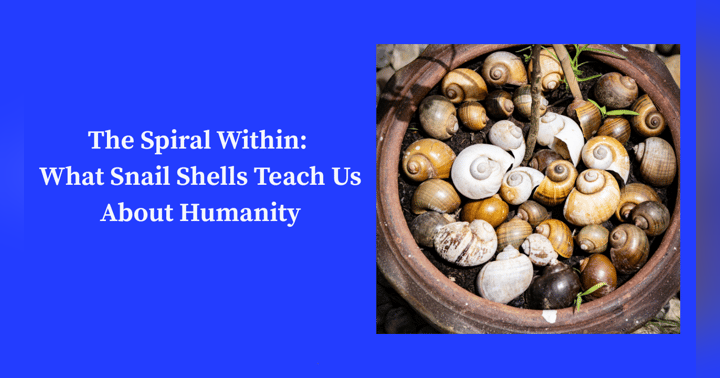 image for The Spiral Within: What Snail Shells Teach Us About Humanity