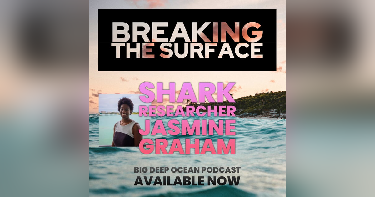 Breaking The Surface - Shark researcher Jasmine Graham on the surprisingly deep connections which attracted her to sharks Breaking The Surface - Shark researcher Jasmine Graham on the surprisingly deep connections which attracted her to sharks
