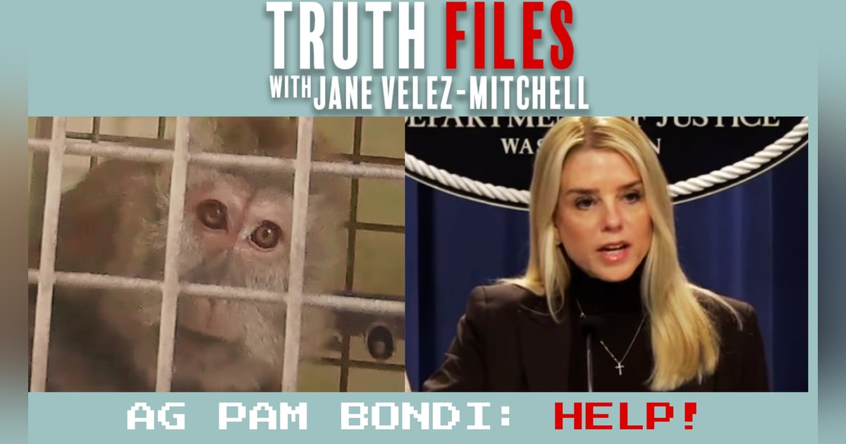 Why PETA Begs AG Pam Bondi to Save 1,200 Monkeys Now Why PETA Begs AG Pam Bondi to Save 1,200 Monkeys Now
