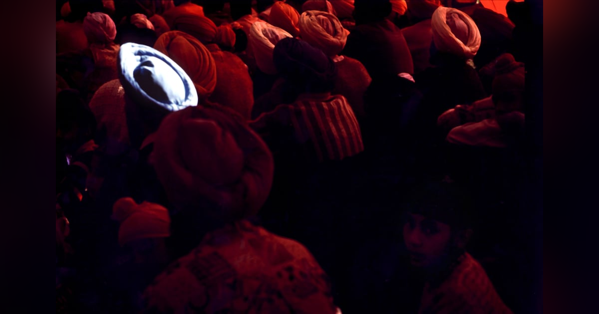 The Weird Friend The Weird Friend