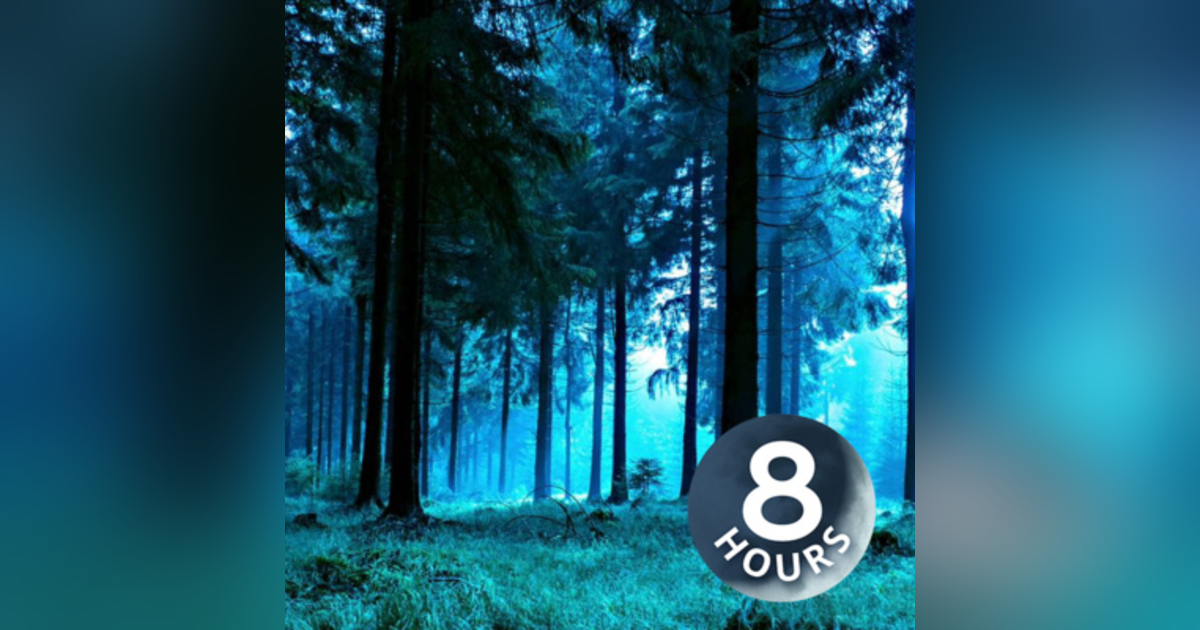 Forest Night Nature Sounds for Sleep or Studying 8 hours | White Noise Forest Night Nature Sounds for Sleep or Studying 8 hours | White Noise
