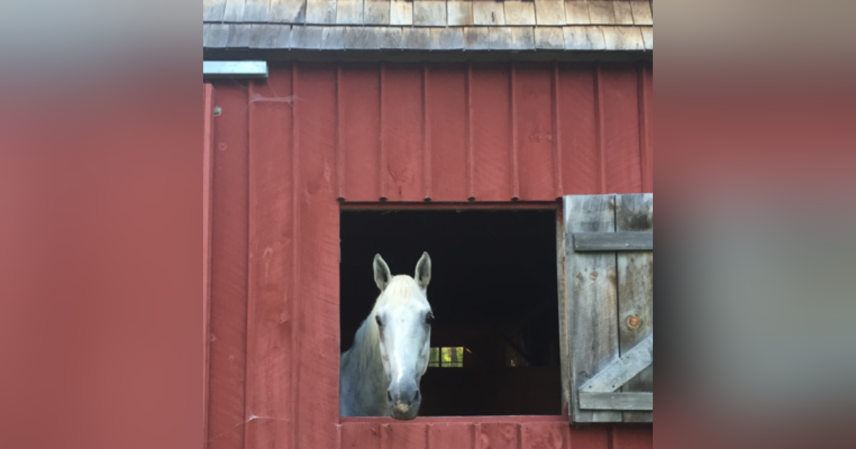 9. Red All Over 9. Red All Over