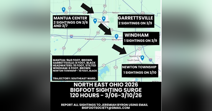 image for THE PORTAGE-TRUMBULL SURGE: 96 HOURS OF UNPRECEDENTED ACTIVITY