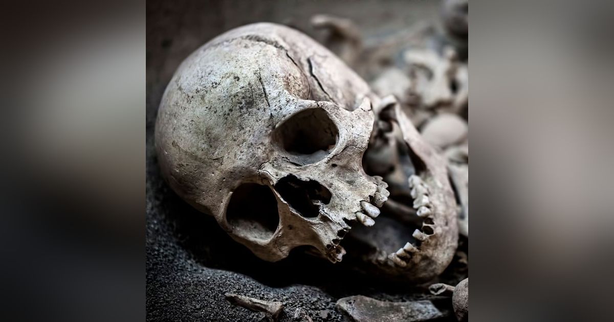 S6: Brutalized Corpses S6: Brutalized Corpses