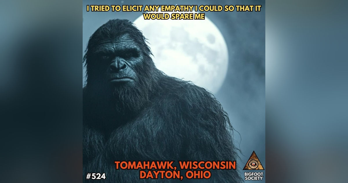 We've All Seen Something in Tomahawk, Wisconsin We've All Seen Something in Tomahawk, Wisconsin