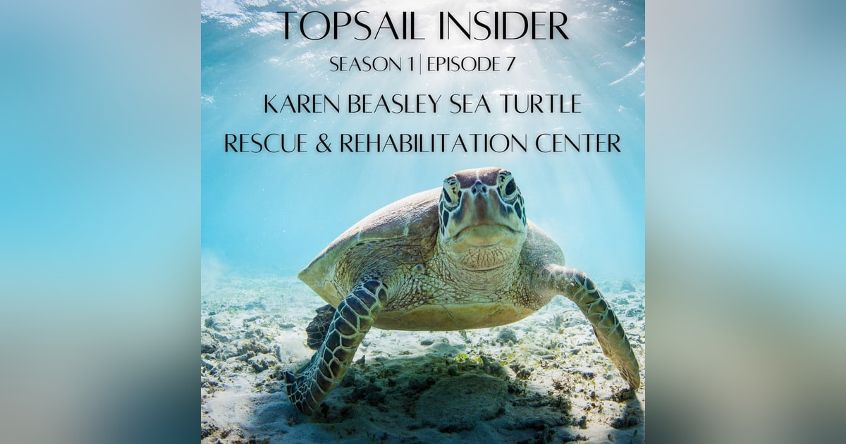 Karen Beasley Sea Turtle Rescue & Rehabilitation Center Karen Beasley Sea Turtle Rescue & Rehabilitation Center