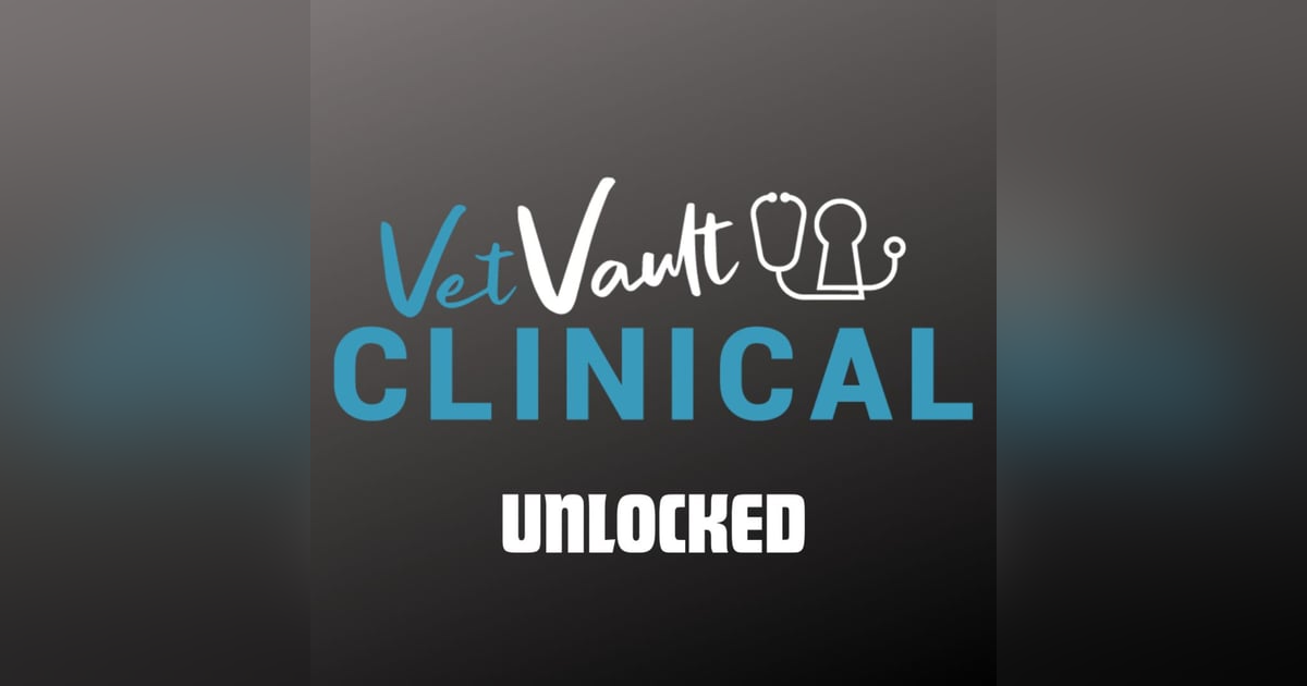 🔓 Demystifying Those D$&@ Liver Enzymes. With Prof Jill Maddison. 🔓 Demystifying Those D$&@ Liver Enzymes. With Prof Jill Maddison.