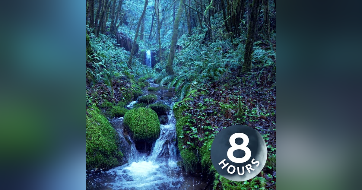 Relaxing Rain Noise + Forest Stream I Water Sounds for Sleeping 8 Hours Relaxing Rain Noise + Forest Stream I Water Sounds for Sleeping 8 Hours