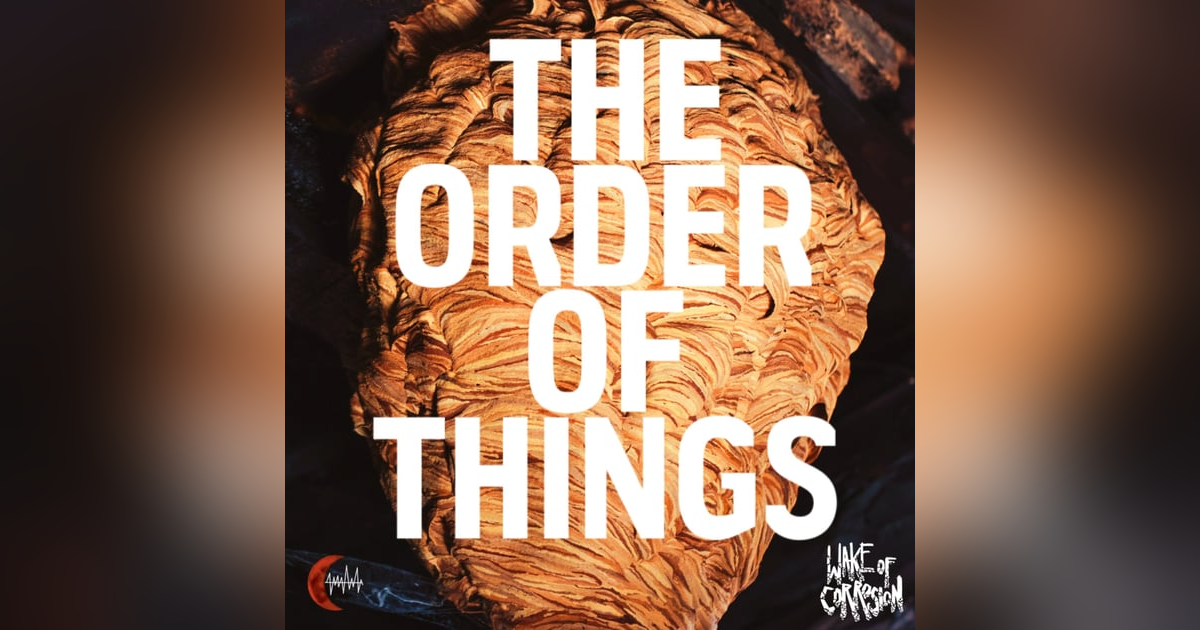 The Order Of Things - 4 The Order Of Things - 4