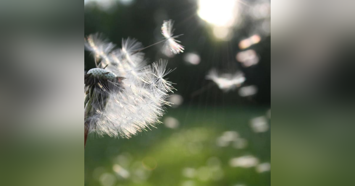 Los 4 pasos para materializar lo que deseas Los 4 pasos para materializar lo que deseas
